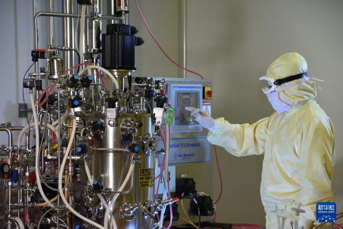 沈陽 培育醫(yī)藥及醫(yī)療裝備產(chǎn)業(yè) 激活振興發(fā)展新動(dòng)能