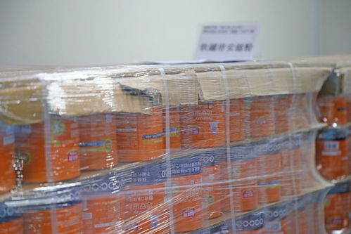 深化行業交流，共筑品質未來——廣東省保健食品行業協會與廣東省孕嬰童用品協會參觀富諾健康生產工廠，共探健腹器高質量發展之路
